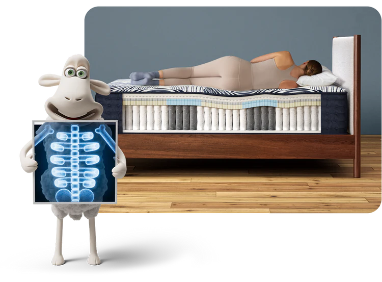 Illustration of Serta's spinal alignment support, featuring a woman sleeping on a cutaway mattress showing its layers, while a Serta sheep holds an X-ray of a well-aligned spine.