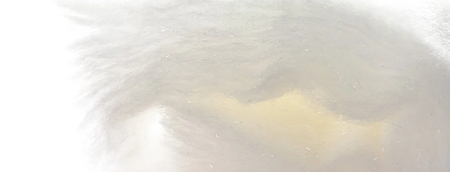 77.png