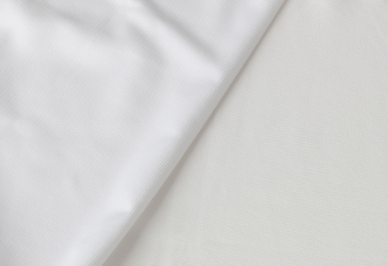Anti-bedbug mattress cover